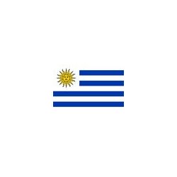 Uruguay flag